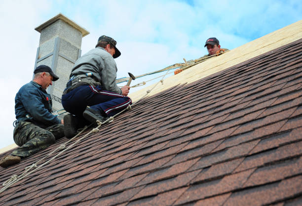 Best Gutter Installation and Roofing  in North Miami, FL